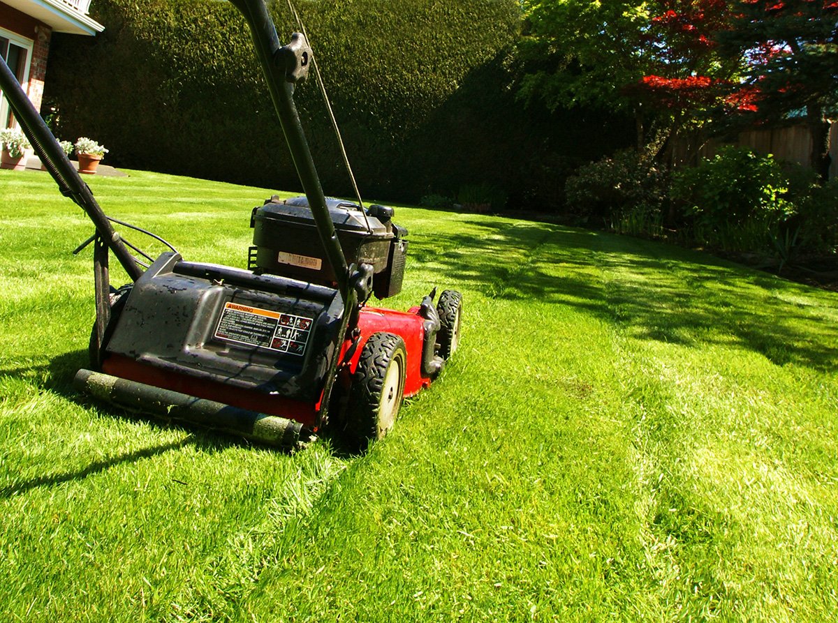 Lawn Mowing - TDG Garden Services